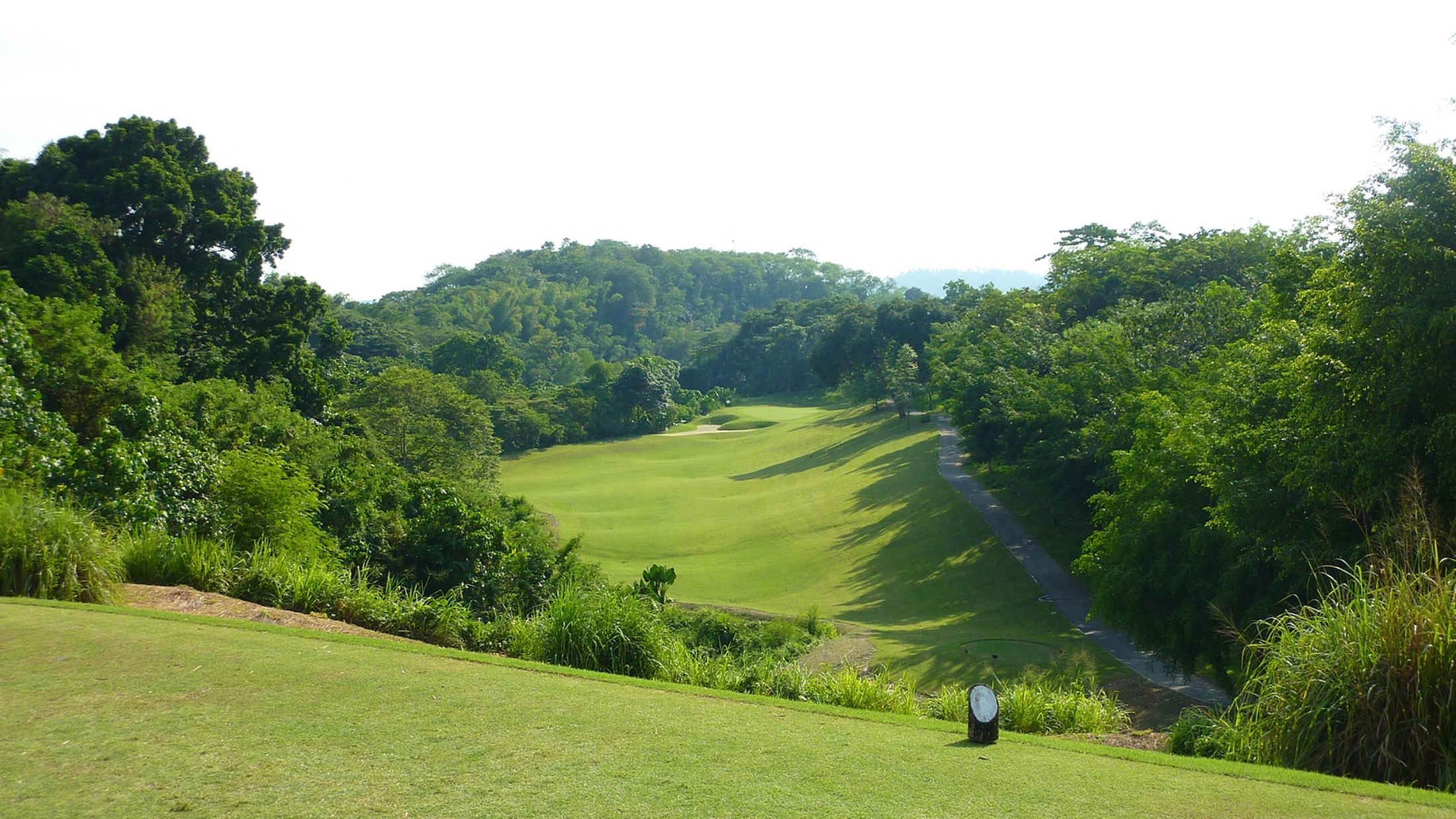 Elevated golf course view