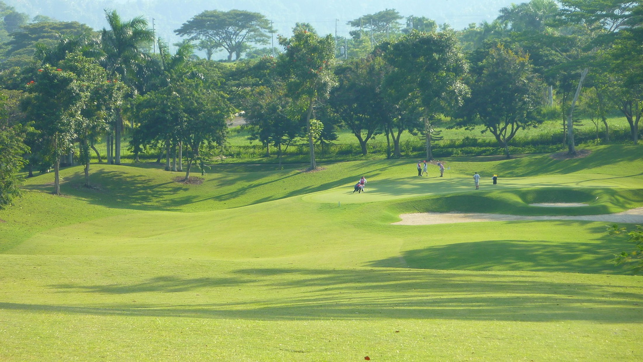 Fairway and green