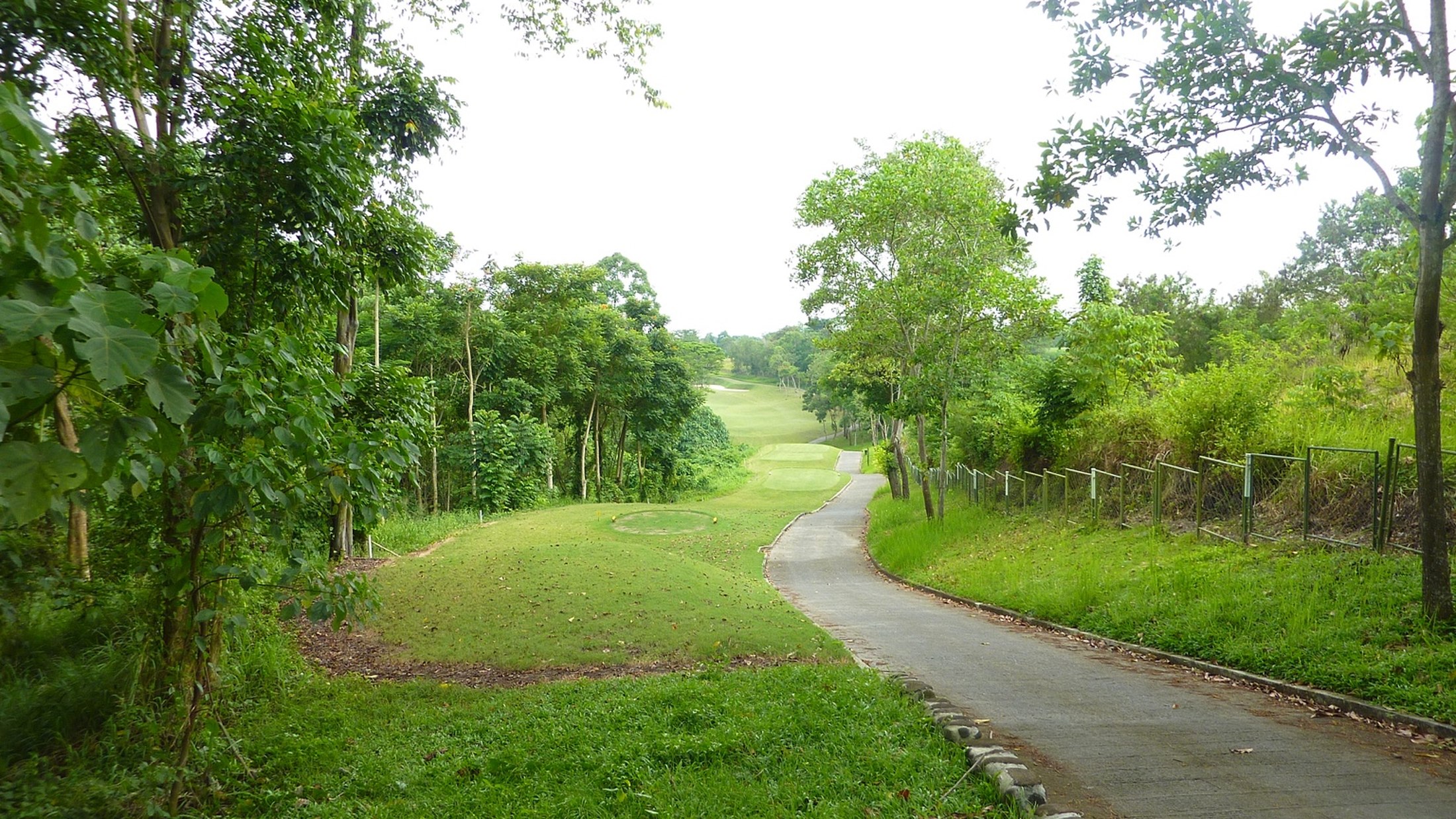 Golf course path and fairway
