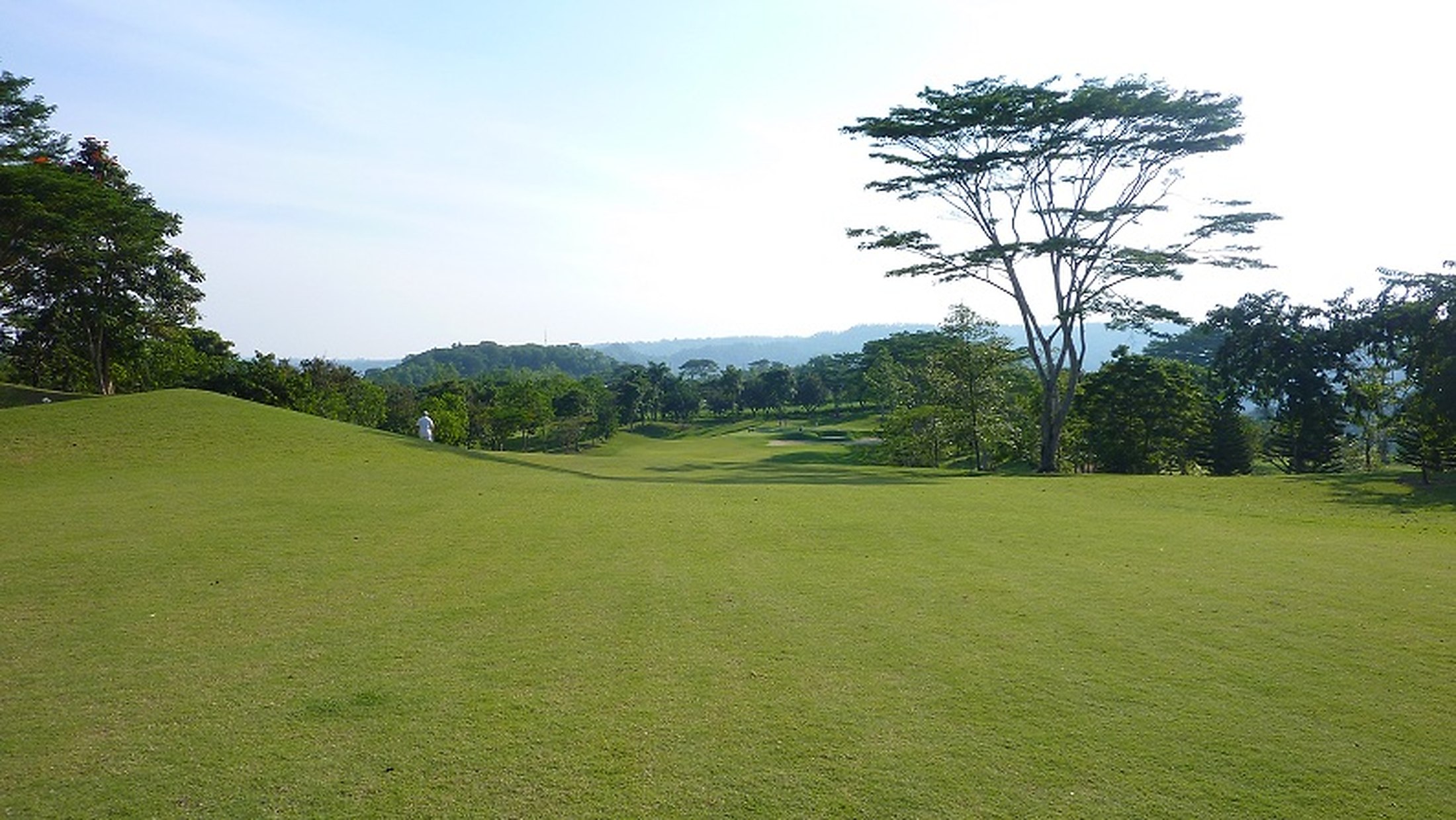 Open fairway