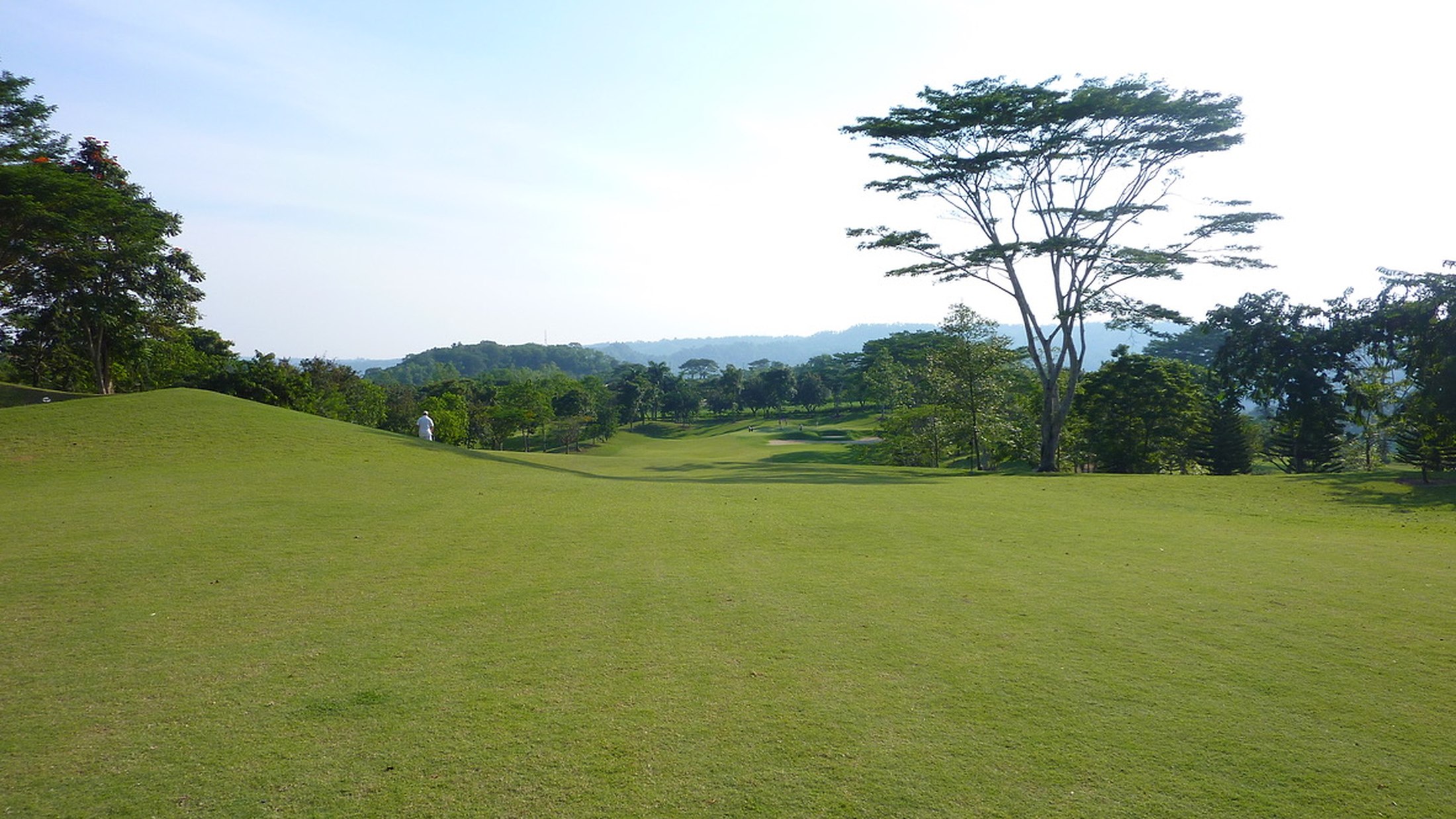 Wide course view