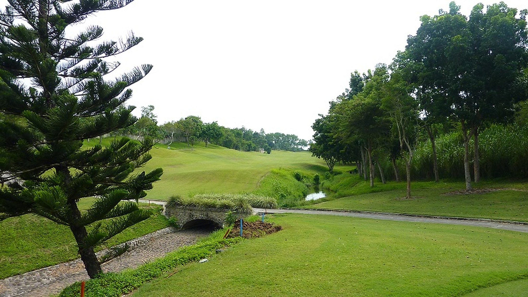 Golf fairway