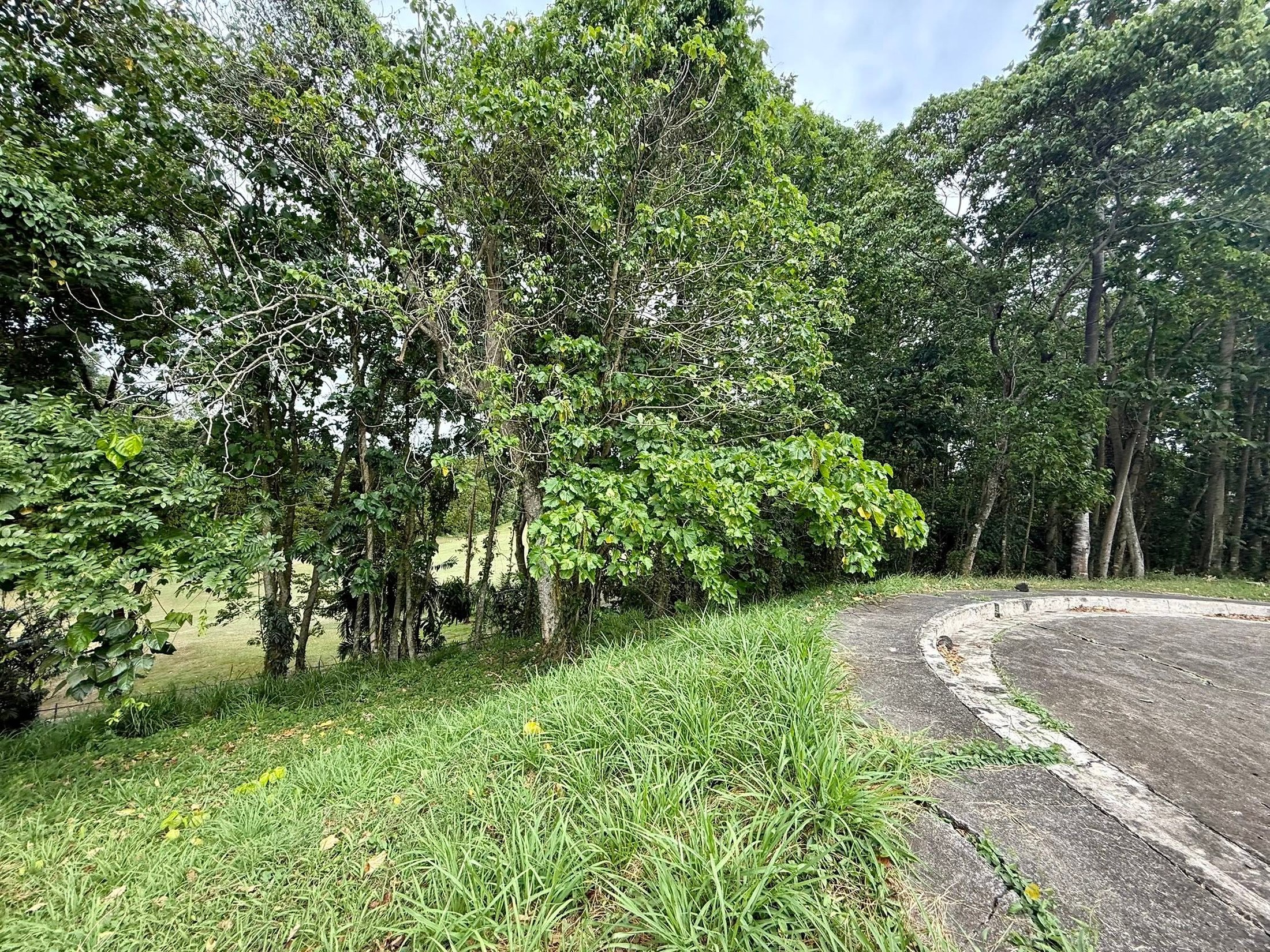 Curved road frontage
