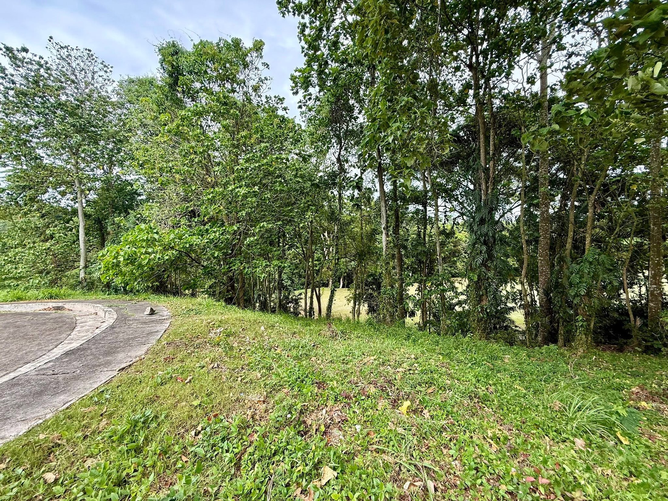 Lot and road